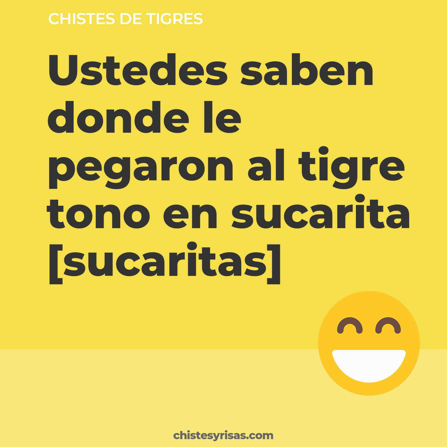 chistes de Tigres buenos