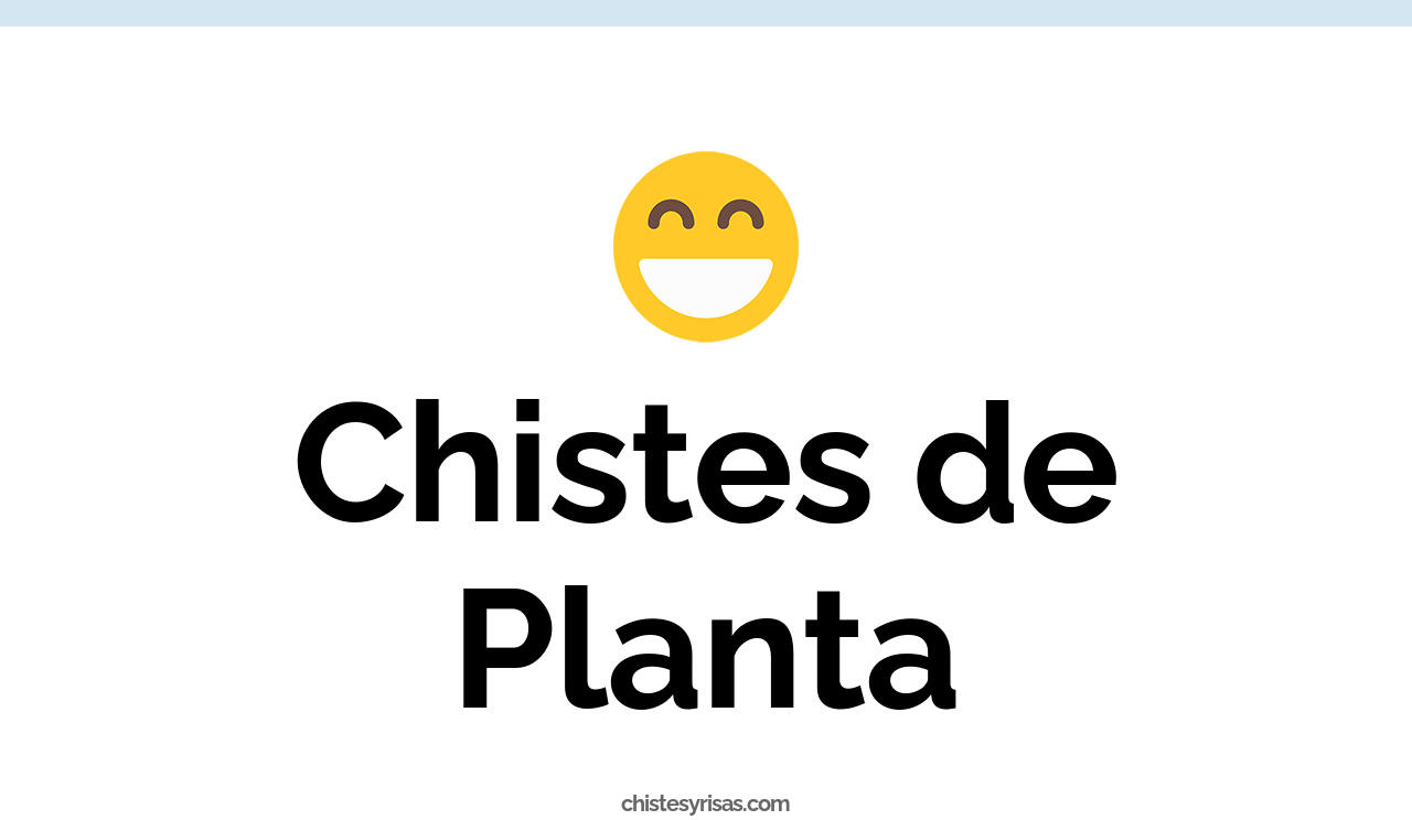 Chistes De Plantas Para Niños De 8 A 9 Años